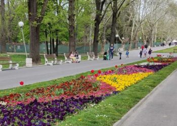 Плувният комплекс в парка в Русе очаква разрешение за строеж /ВИДЕО/