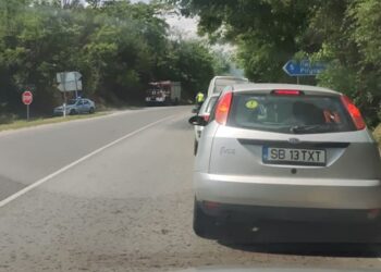 Пожар на сухи треви до разклона за Пиргово