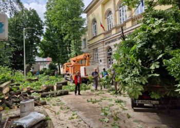 Изсичането на дървета при МГ „Баба Тонка“ възмути русенци, общината отговори