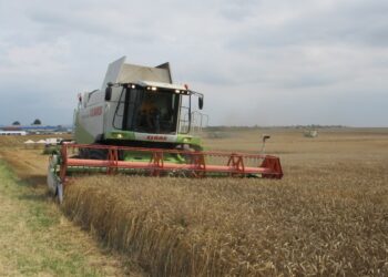 Земеделци очакват по-ниски добиви, министърът се надява на 6 млн.тона /ВИДЕО/