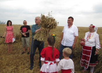 Земеделският министър зажъна ритуално пшеницата в Русенско /ВИДЕО/