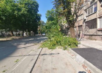 Прекършен кестен препречва едната лента на ул.“Плиска“