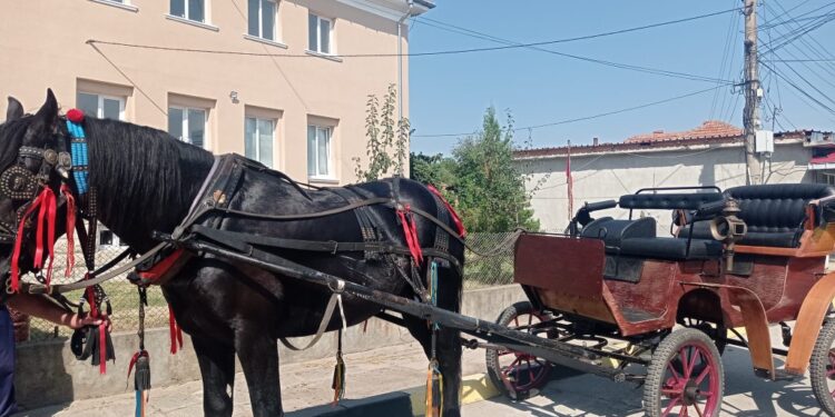 Празникът на плодородието в Чилнов се превърна в празник на традициите