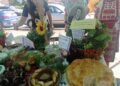 Русе Медиа - За да знаеш повече Празникът на плодородието в Чилнов се превърна в празник на традициите