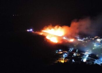 Екипи от Бяла, Две могили и Русе се бориха с големи пожари в Бяла и Батин
