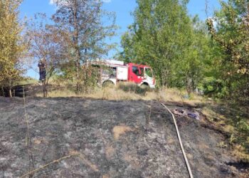 Пожар в сухи треви и храсти вдигна пет пожарни и техника от Николово