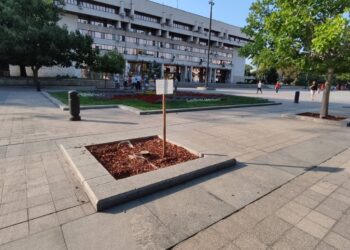 За първи път: Табела дава информация защо е отсечено дърво в Русе