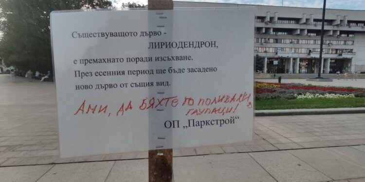 За първи път: Табела дава информация защо е отсечено дърво в Русе