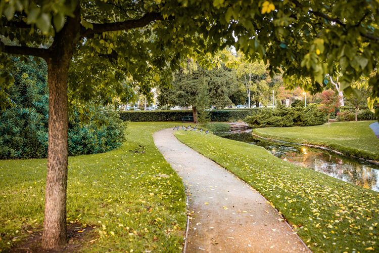A beautiful shot of park pathway surrounded with amazing nature