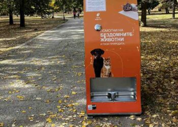 Поставиха първите автомати за хранене на бездомни животни в Русе