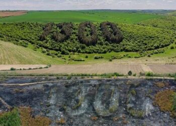 Изгорелите борове от надписа „1300“ край Бяла ще бъдат възстановени
