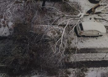В община Русе осем населени места са без ток, има паднали дървета
