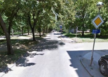 Санитарна резитба затваря част от ул. „Алеи Възраждане“ на 24 ноември