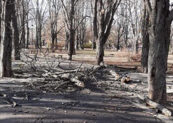 Община Русе препоръчва на гражданите да вземат мерки заради силния вятър