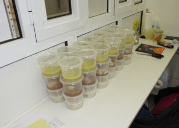 Детска млечна кухня ще предлага и ваучери за нуждаещите се семейства