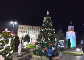 Община Бяла светва две елхи и ще предложи богата Коледна програма