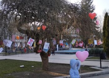 150 валентинки с кауза ще украсят на 14 февруари Дървото на влюбените в Русе