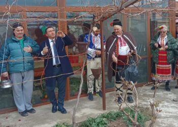Във Ветово отпразнуваха Трифон Зарезан с ритуал и хоро /ГАЛЕРИЯ/