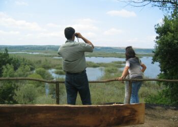 РИОСВ-Русе обяви конкурс за комикс, посветен на влажните зони