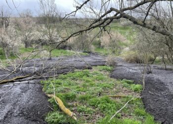 РИОСВ: Не са установени нови разливи на торови маси край Писанец
