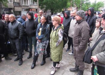 Търсачи на трюфели в Русе настояват за планиран добив и единно разрешително /ВИДЕО/
