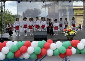 Читалището в Средна кула бе отличено по случай 100-годишнината му