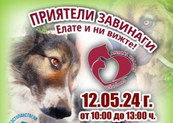 Събитие с кауза „Приятели завинаги!“ събира днес любителите на кучета в Русе