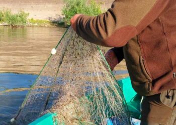ИАРА установи бракониери от кораб под чужд флаг в река Дунав край Русе