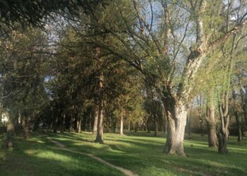 Община Бяла ще пръска срещу кърлежи и бълхи