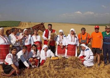 С ритуал „зажънване“ откриха жътвената кампания в Малко Враново