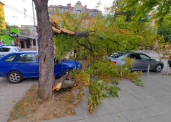 Паднали дървета и в Русе, кестен се стовари върху автомобили /ВИДЕО/
