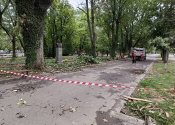 Мълния разцепи дърво в Парка на младежта в Русе /ВИДЕО/