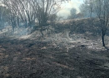 Гасиха пожари в дворове на къщи в Чилнов и до вилна зона в Стълпище