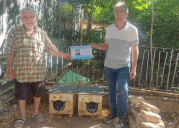 Поставиха първите котешки къщички в Русе за бездомни животни