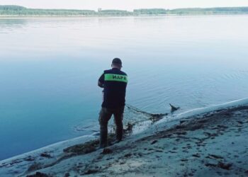 Инспектори от ИАРА-Русе извадиха над 110 метра браконерски мрежи с риба от Дунава