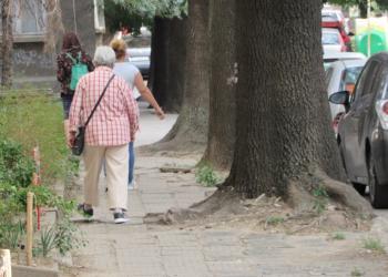 Започна ремонтът на ул.“Муткурова“ в Русе, ще подменят и дървета /ВИДЕО/