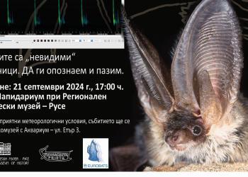 Нощта на прилепите се завръща в Русе на 21 септември /ПРОГРАМА/