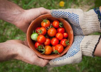 Борово ще бъде домакин на информационно събитие от МОО-Бяла за финансиране на биологичното земеделие