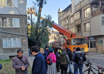 Протестиращи опитаха да спрат рязането на дърветата на ул.“Муткурова“ /ВИДЕО/