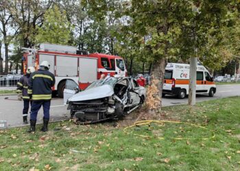 Кола се заби в дърво при тежка катастрофа на бул.“Липник“ в Русе