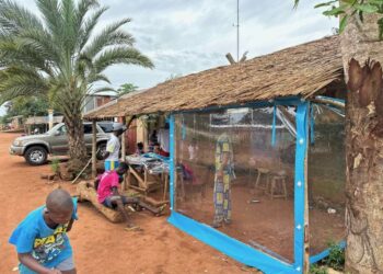 Производител от Бяла, Русенско, стъпи на екзотичния африкански пазар