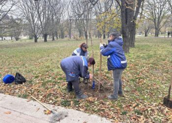 Засадиха нови 20 дръвчета в Парка на възрожденците