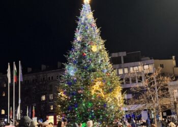 Коледната елха в Русе грейна в светлини, запалени иновативно