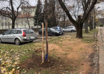 Още 30 нови дръвчета обогатяват зелените пространства в Парка на младежта