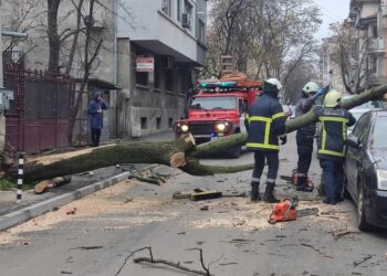 Дърво се стовари върху коли и прозорец в Русе, по чудо няма ранени /ВИДЕО/