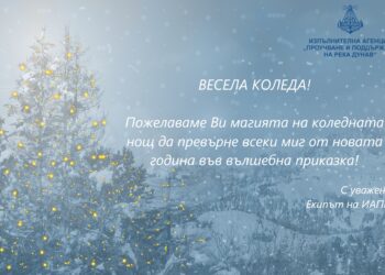ИАППД пожелава Весела Коледа!
