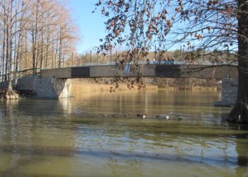 Дървеният пешеходен мост на езерото в Лесопарка радва вече посетителите /ВИДЕО/
