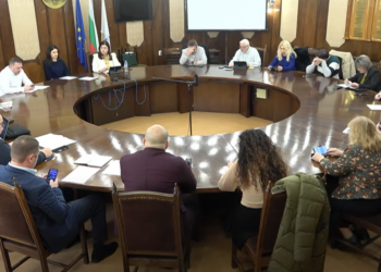 Комисията по здравеопазване в Русе предлага спешна финансова реформа на психиатричната помощ