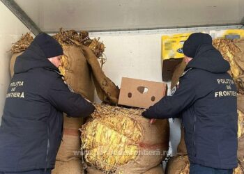 Хванаха български шофьор, вкарал над 1 тон нелегален тютюн през Дунав мост /ВИДЕО/