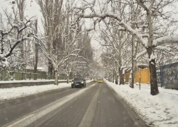 Всички пътища в област Русе са проходими, транспортът се движи по график